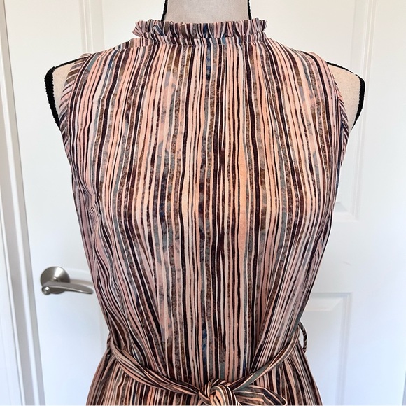 Bella D. Pink and Black Sleeveless Maxi Dress - Picture 2 of 6